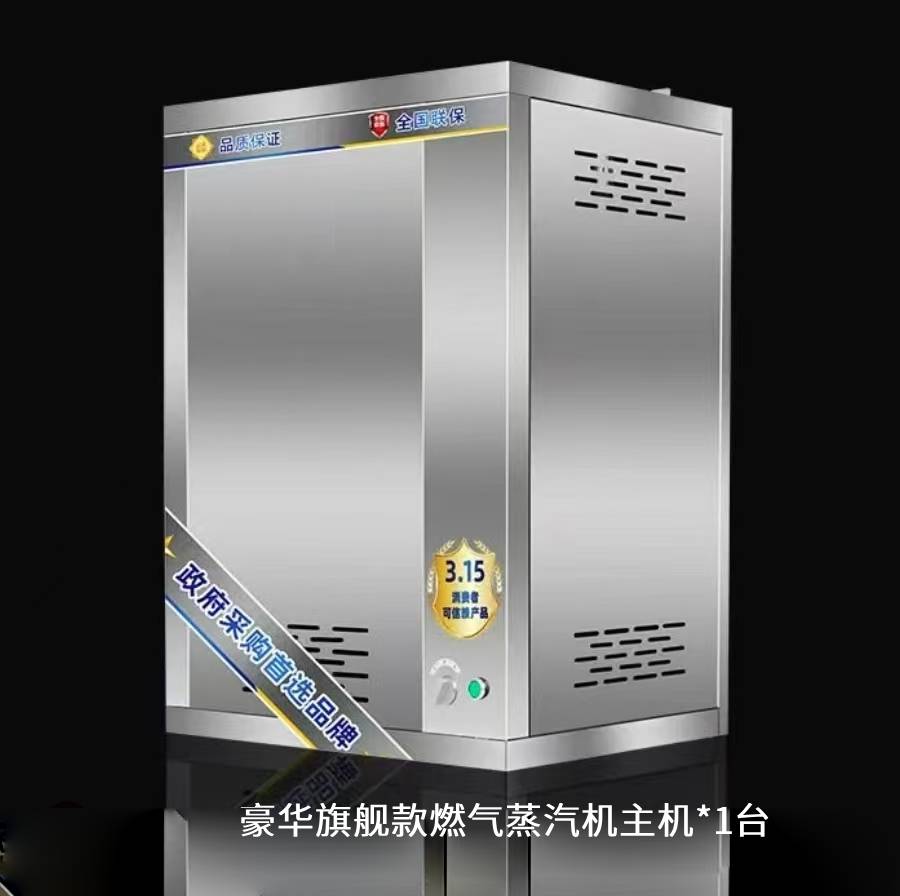 燃氣蒸汽發生器